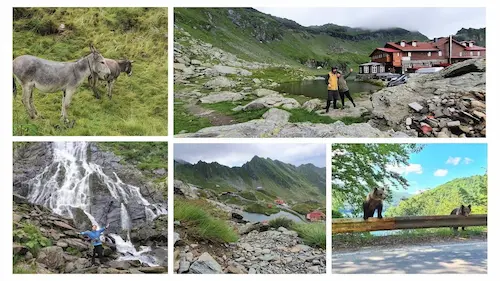 Transfăgărășan: opriri la belvederi