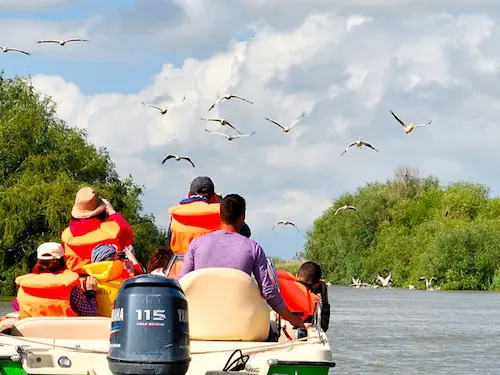 Delta: ieșire cu barca la răsărit